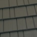 Shake Gray
